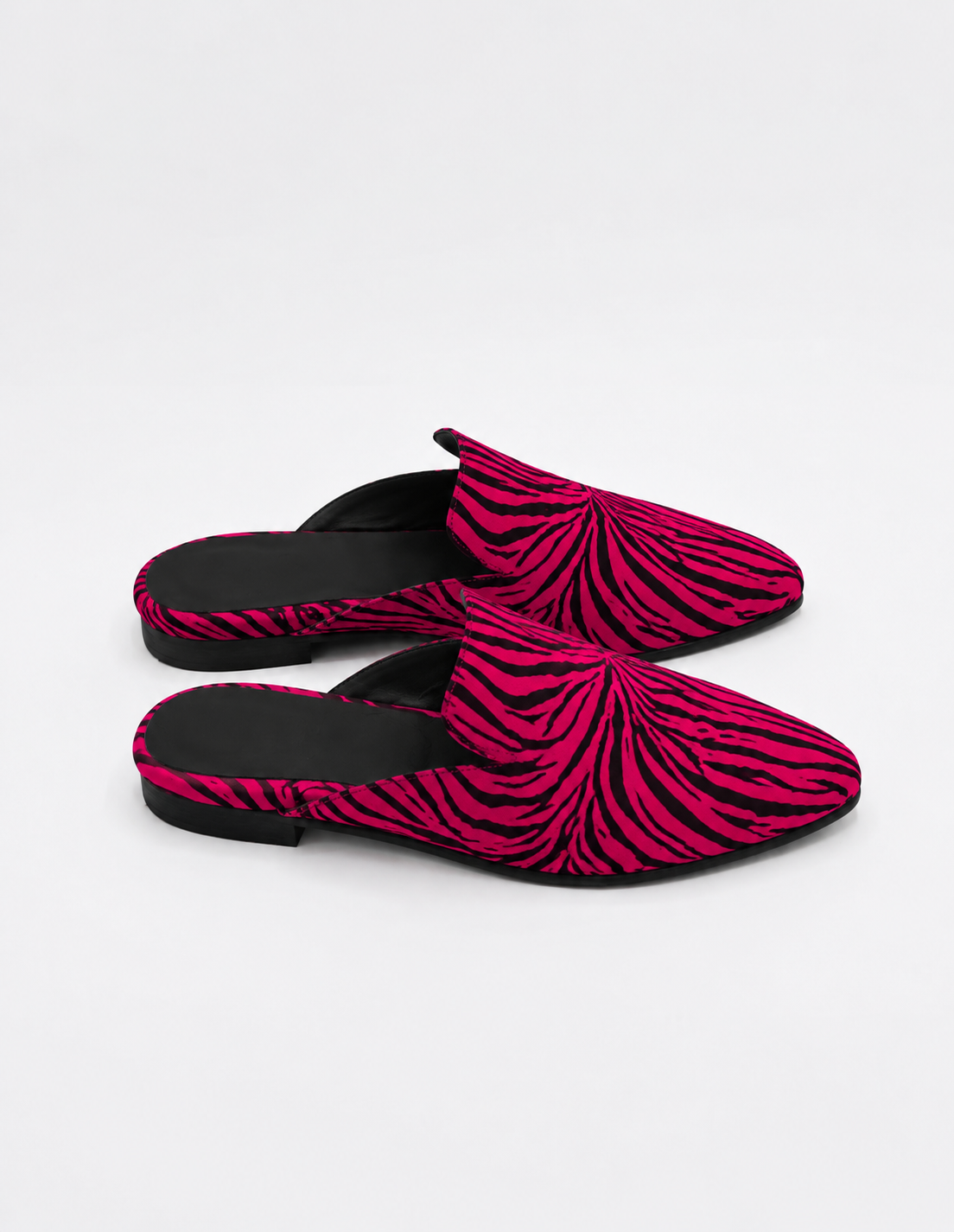 ZEBRA POP