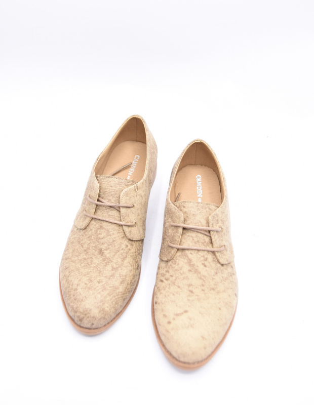 אוקספורד משגעות