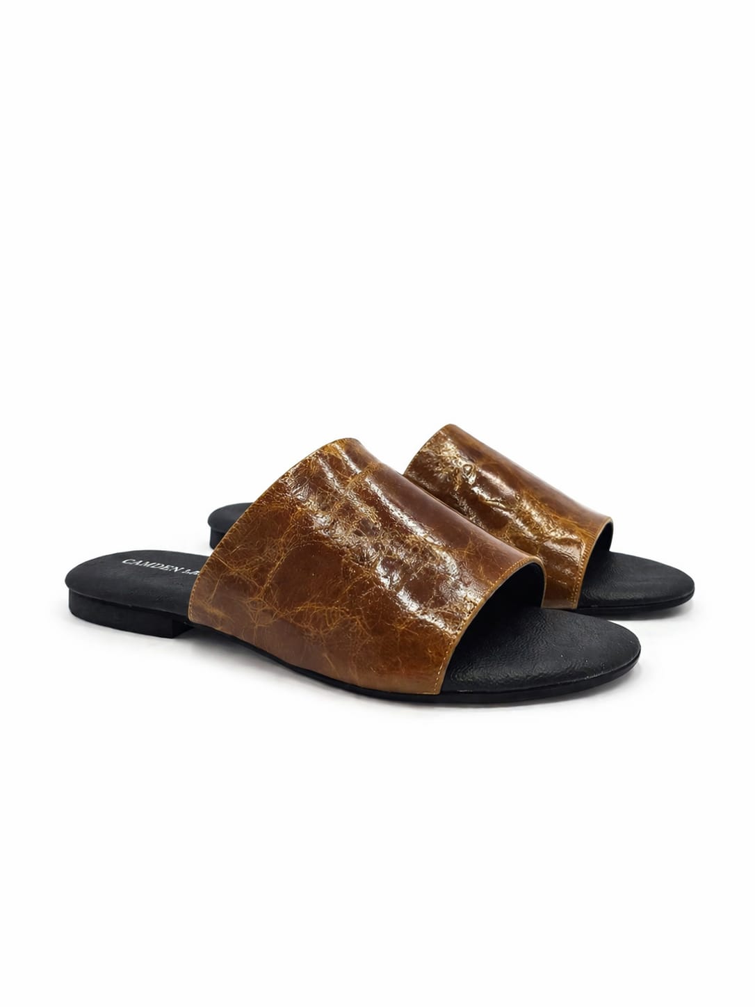 Sahara Shine
